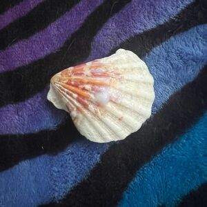 Shell Candle with Assorted Beads